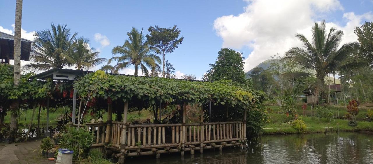 Talaga Tomohon Home Stay And Fishing Pond Exteriér fotografie