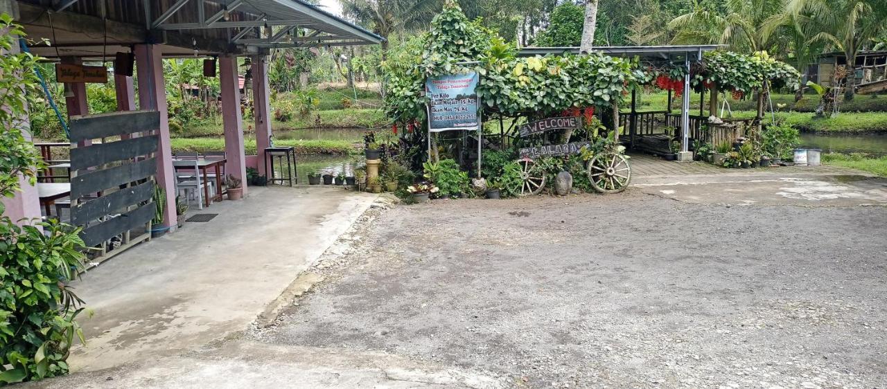 Talaga Tomohon Home Stay And Fishing Pond Exteriér fotografie