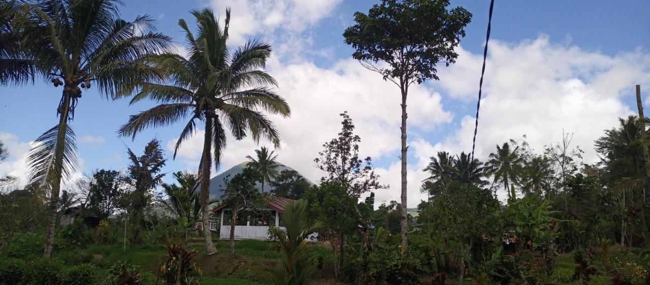 Talaga Tomohon Home Stay And Fishing Pond Exteriér fotografie