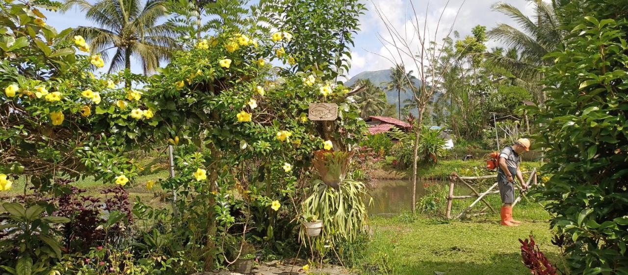 Talaga Tomohon Home Stay And Fishing Pond Exteriér fotografie