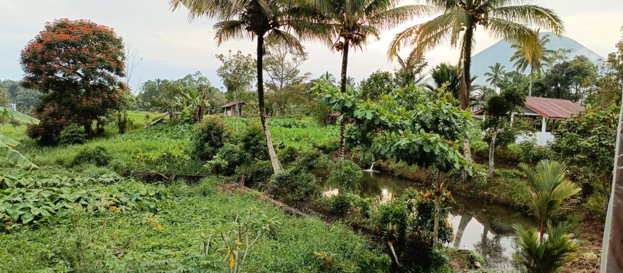 Talaga Tomohon Home Stay And Fishing Pond Exteriér fotografie