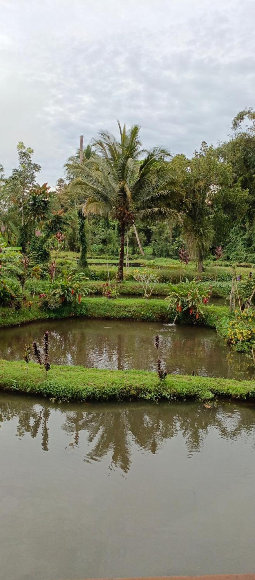 Talaga Tomohon Home Stay And Fishing Pond Exteriér fotografie